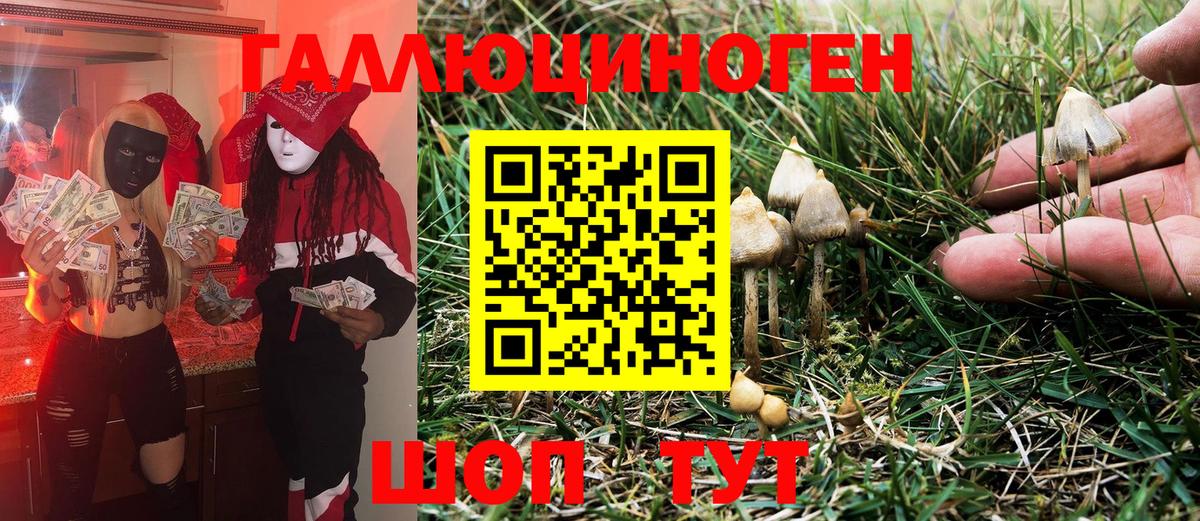 Псилоцибиновые грибы Magic Shrooms  Вход с VPN  Псилоцибиновые грибы Psilocybine cubensis  Луховицы 